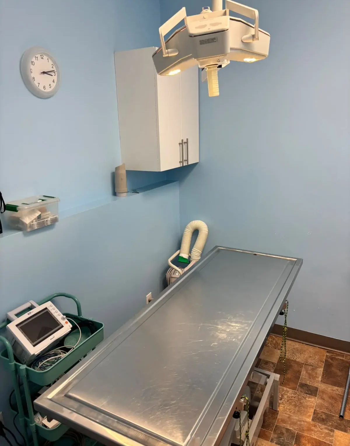 Spay, Neuter & Soft Tissue Surgeries